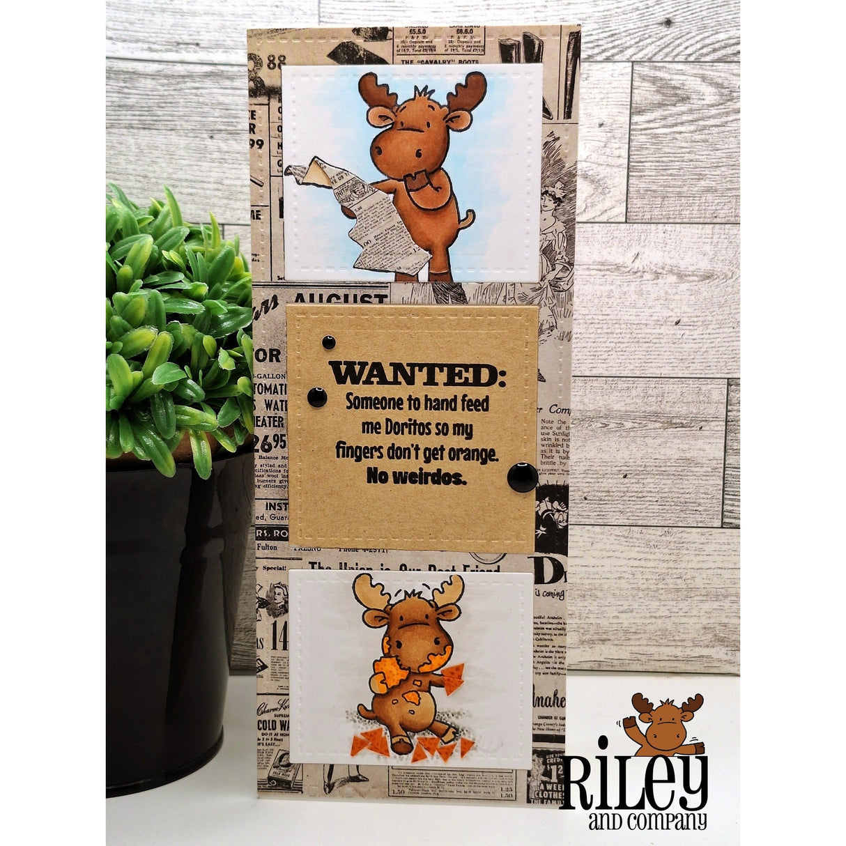Wanted Clear Stamps by Riley & Co