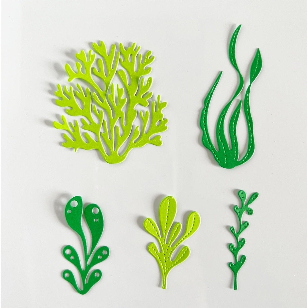 Life Under the Sea Craft Dies