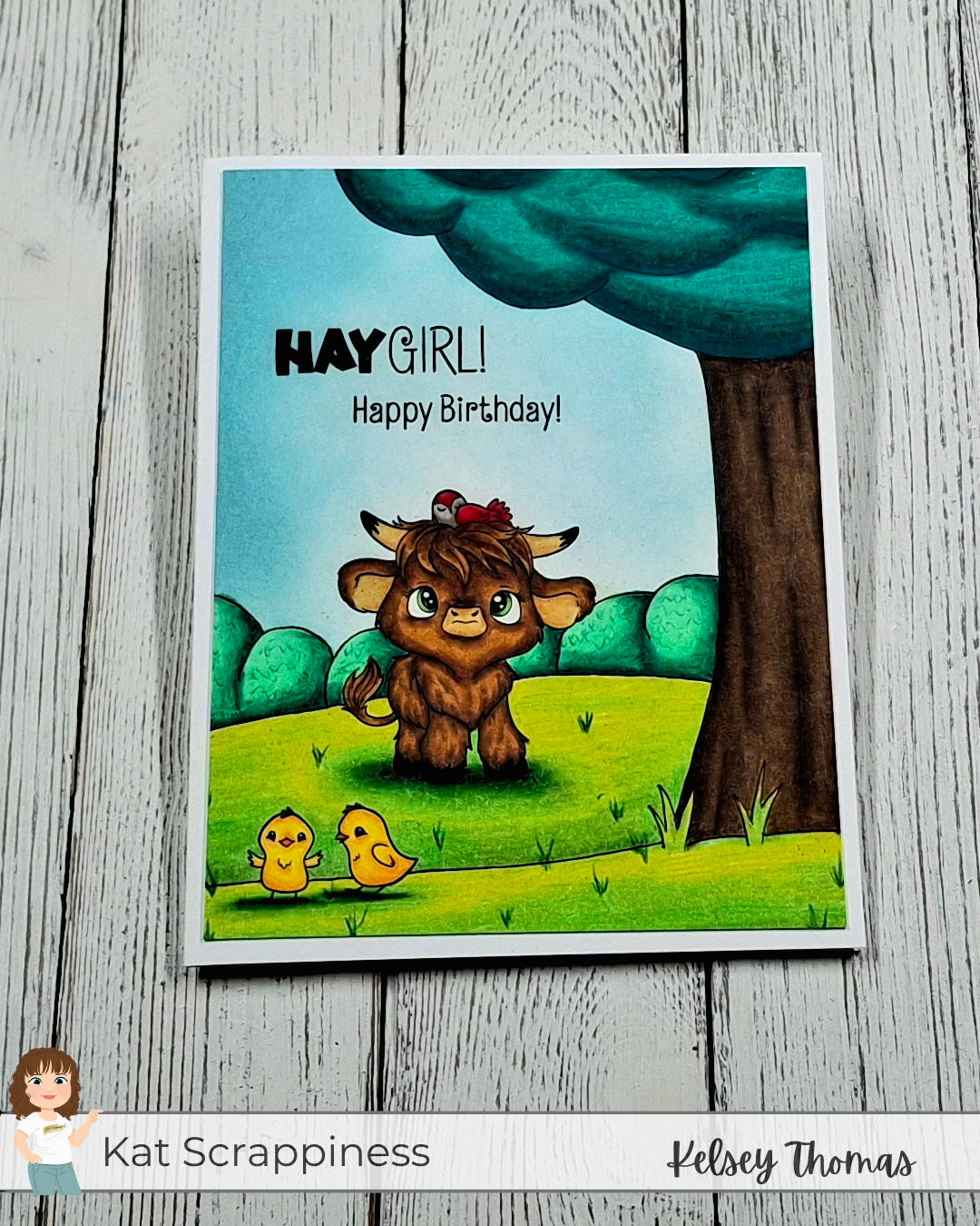 Sketchy Sundays with Kelsey! Hay, Girl! Happy Birthday!
