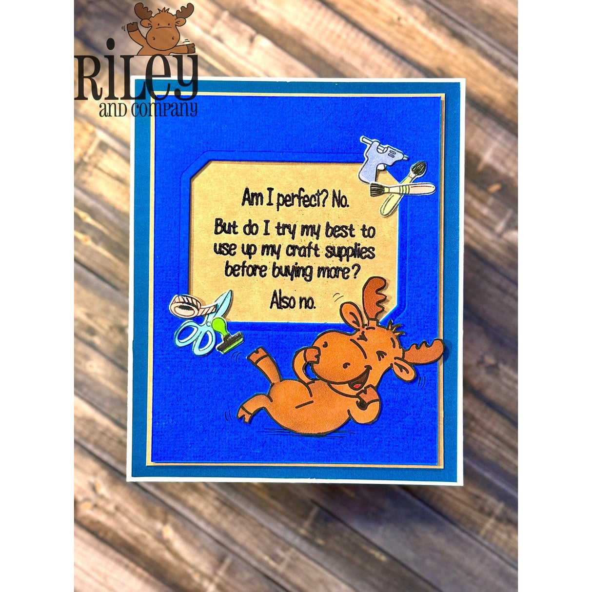 Am I Perfect? Clear Stamp by Riley & Co