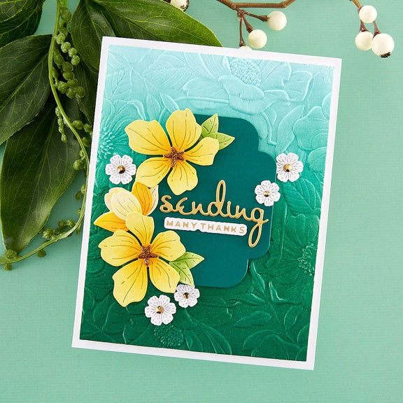 Four Petal Floral 3d Embossing Folder by Spellbinders