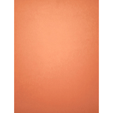 Kat’s Color Studio Premium Cardstock - 10 pack