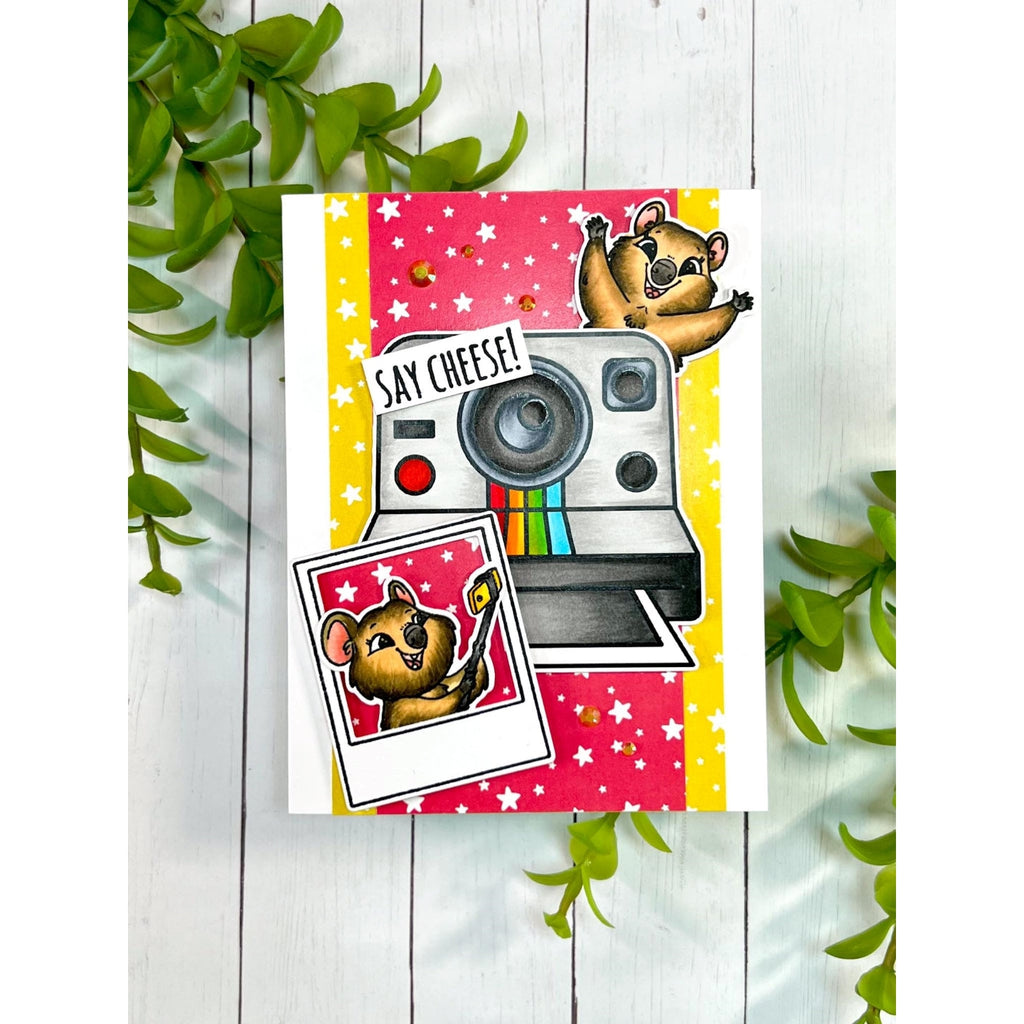 "Say Cheese" Quokka Card Kit - CLEARANCE!
