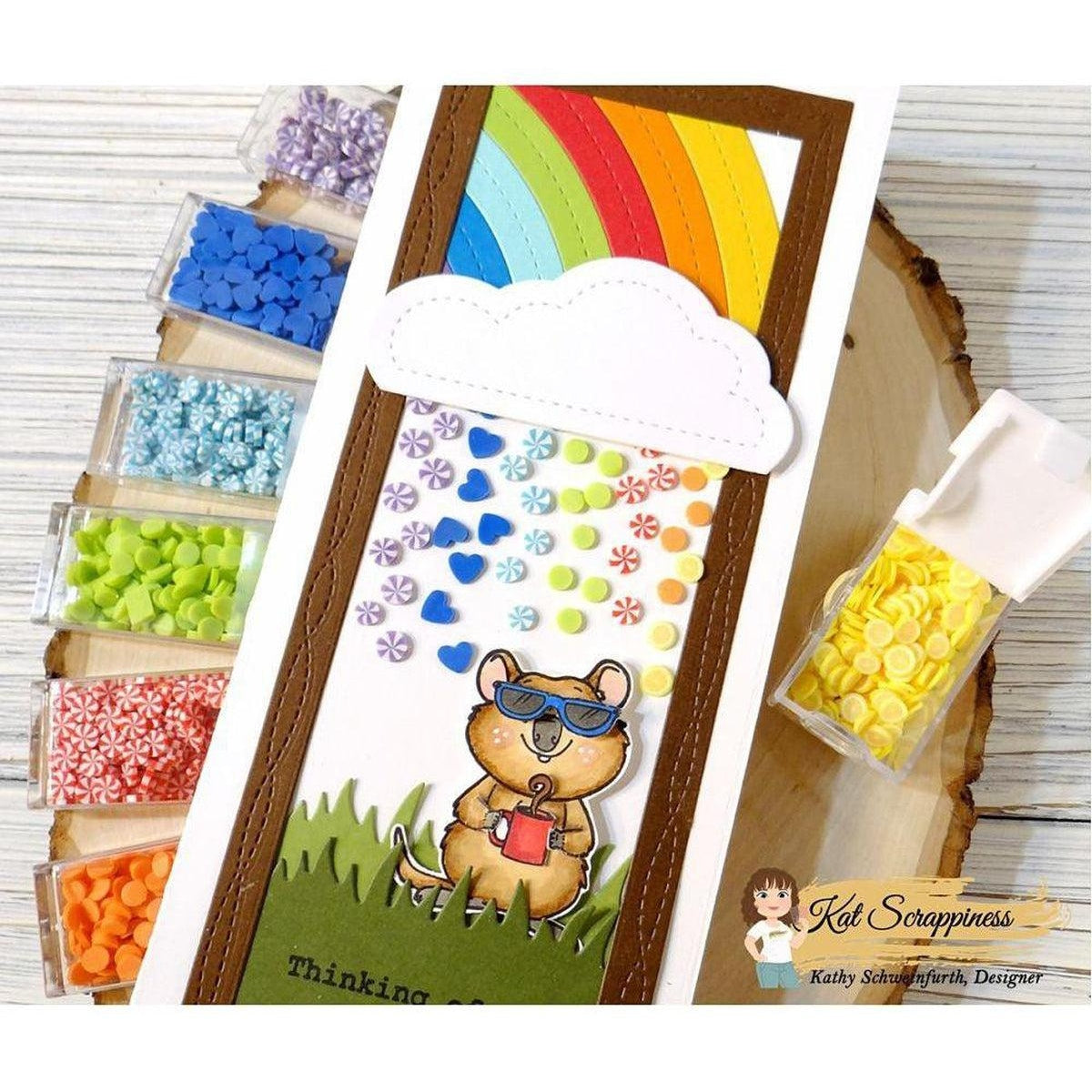 After The Rain Craft Dies